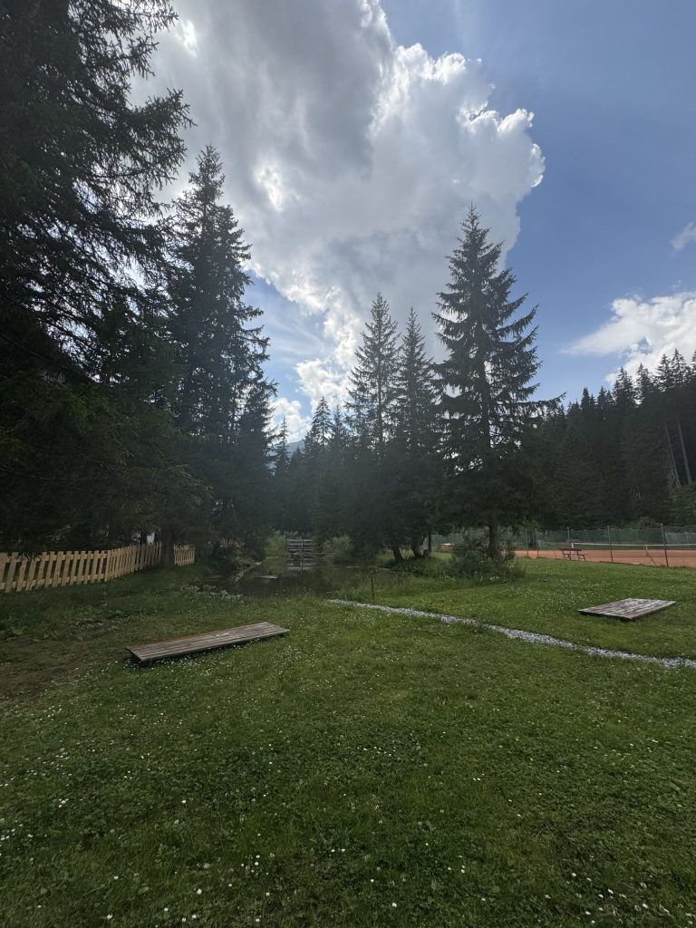 30 Grad warmes Wasser mitten im Wald: Das Geheimnis vom Waldbad Lech