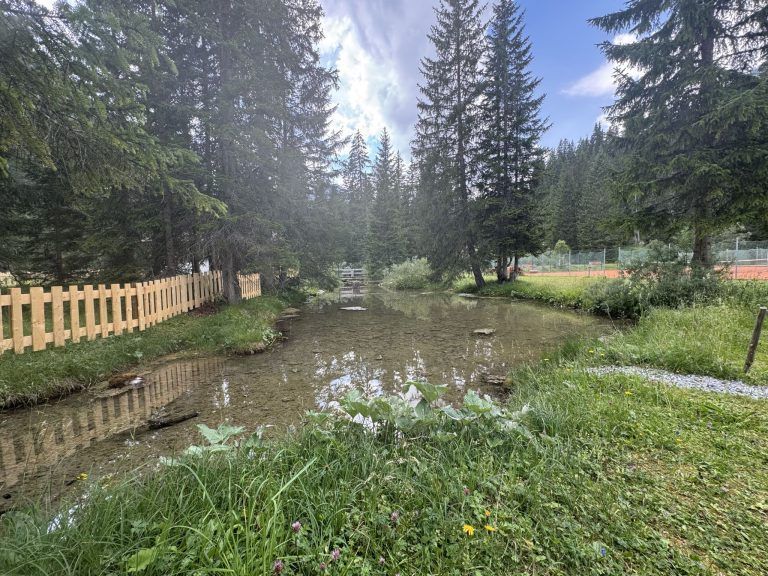 30 Grad warmes Wasser mitten im Wald: Das Geheimnis vom Waldbad Lech