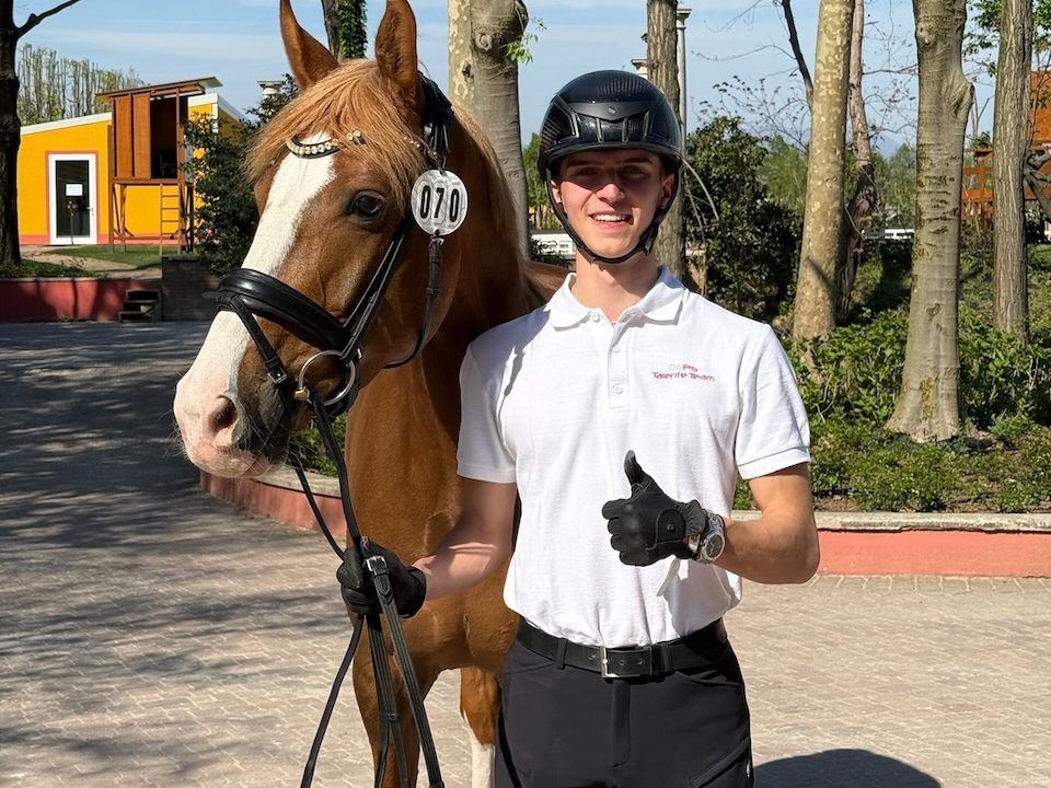 Pferdesport Reiten Dressur