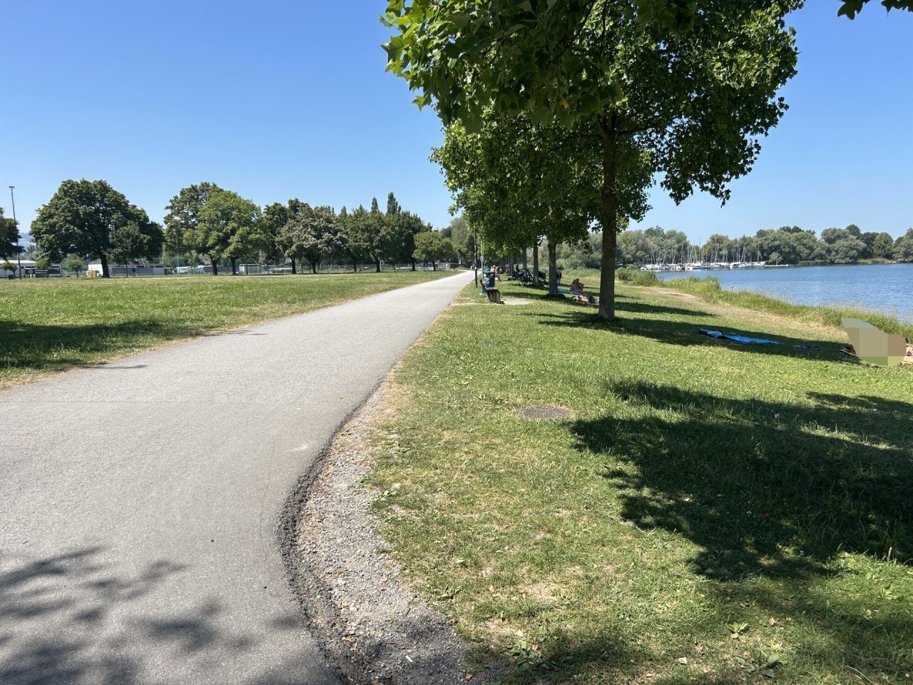 Hund im Harder Stedepark zerfleischt: Das sagt der verantwortliche Bürgermeister