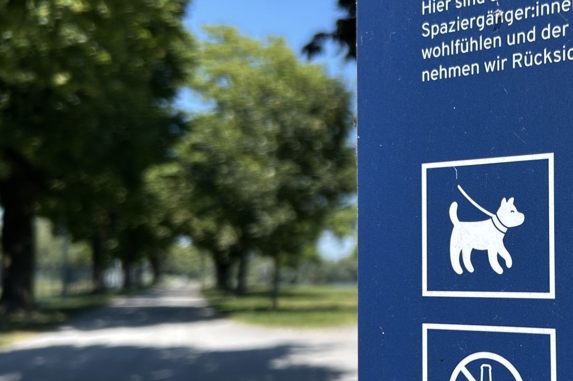 Nach der tödlichen Hundeattacke im Stedepark blieb eine Frage unbeantwortet