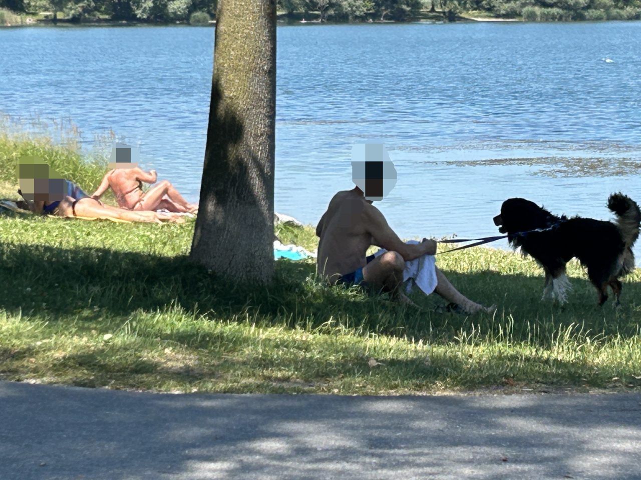 Nach der tödlichen Hundeattacke im Stedepark blieb eine Frage unbeantwortet