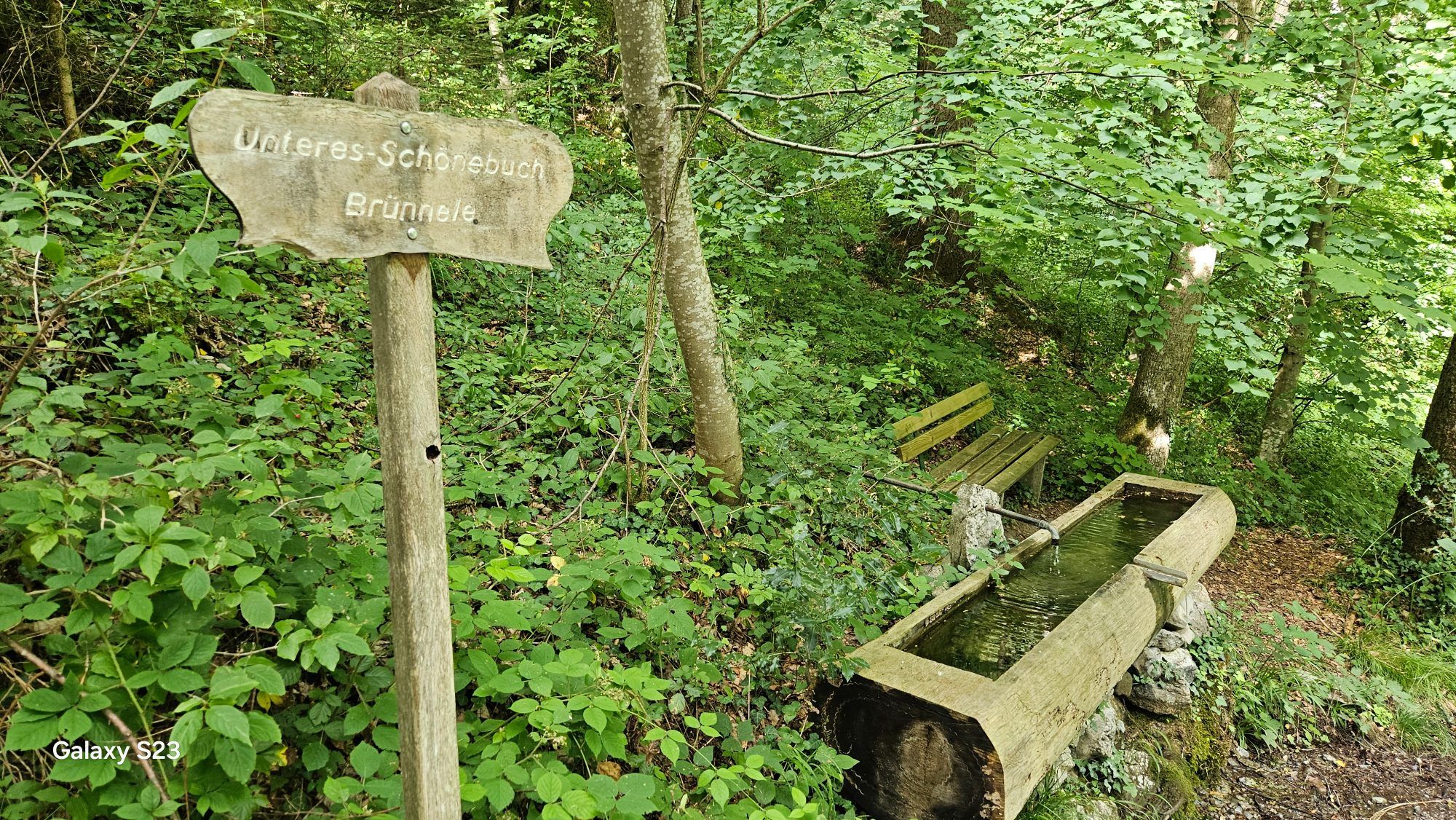 Bilderreihe der MTB-Strecke/Wanderweg beginnend bei St. Arbogast - Bild 3
