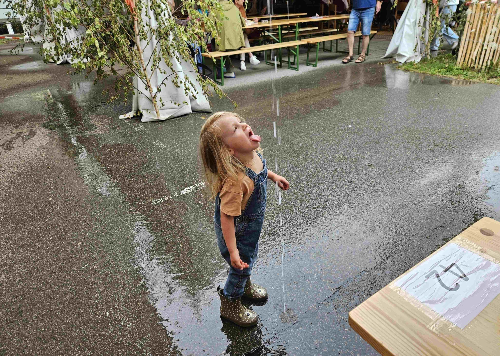 Impressionen vom Lochauer Dorffest 2026
