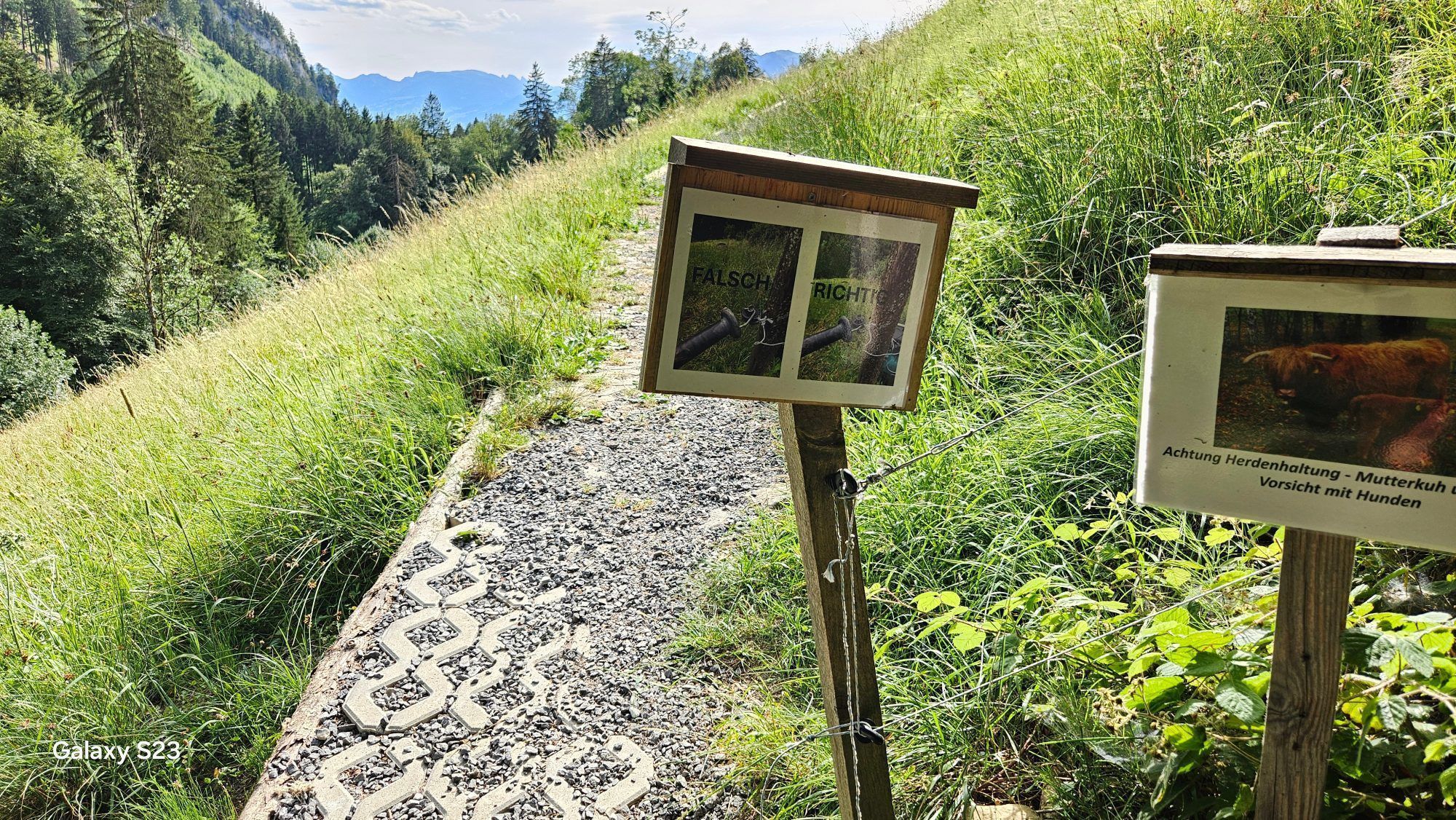 Den Elektrozaun zu öffnen und zu schließen sollte eine Selbstverständlichkeit sein. Im Sommer sind hier ev. Hochlandrinder anzutreffen