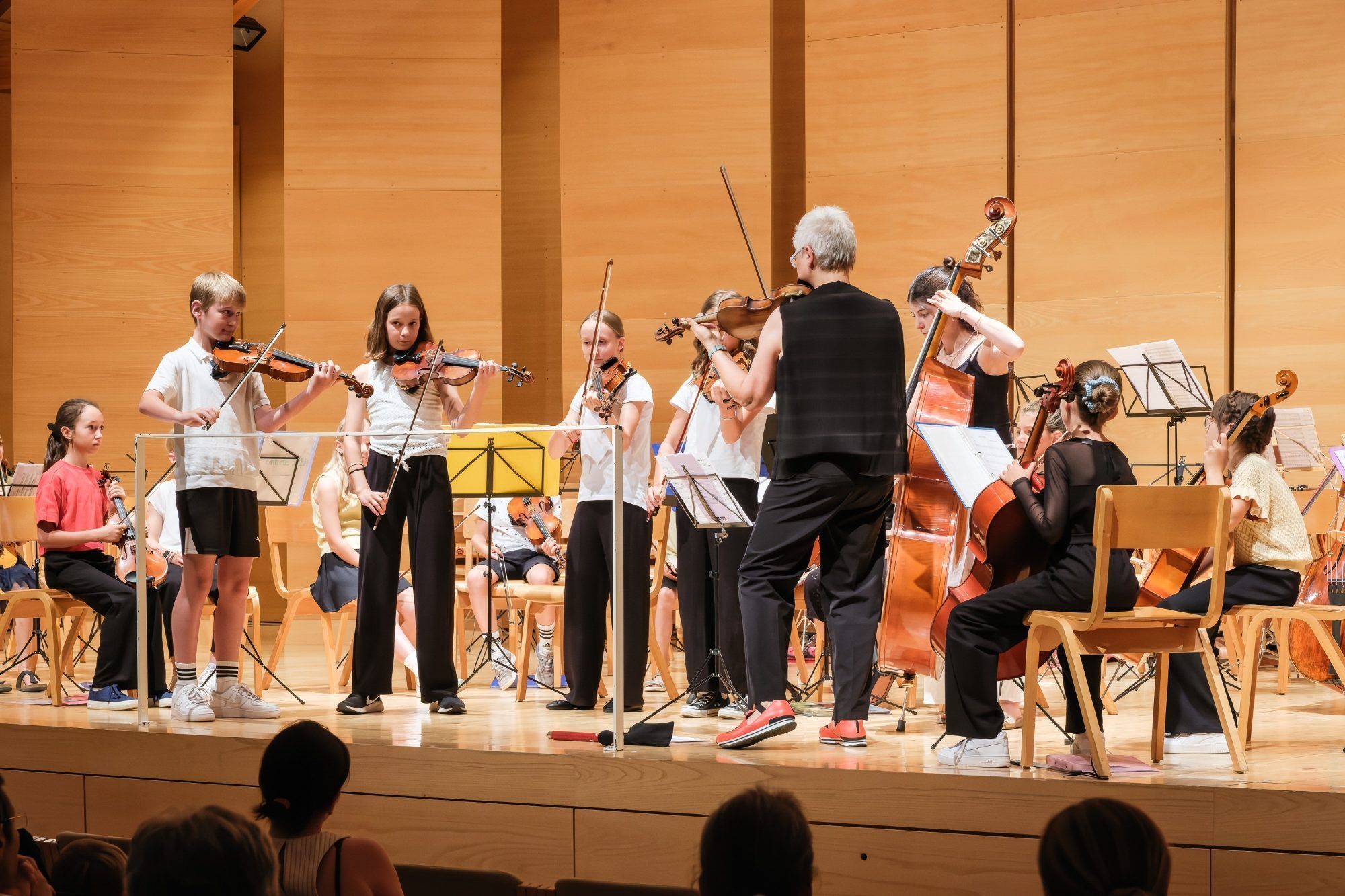 Ensemble Stick-Slip-Strings