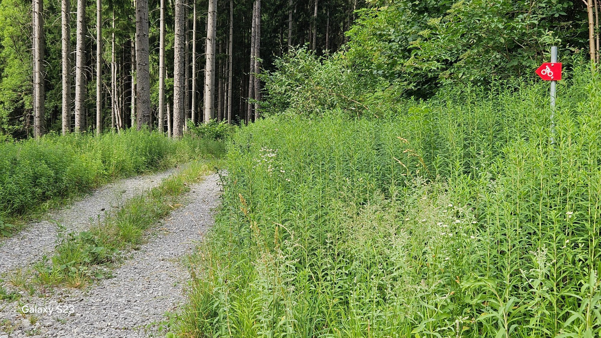 Bilderreihe der MTB-Strecke/Wanderweg beginnend bei St. Arbogast - Bild 7