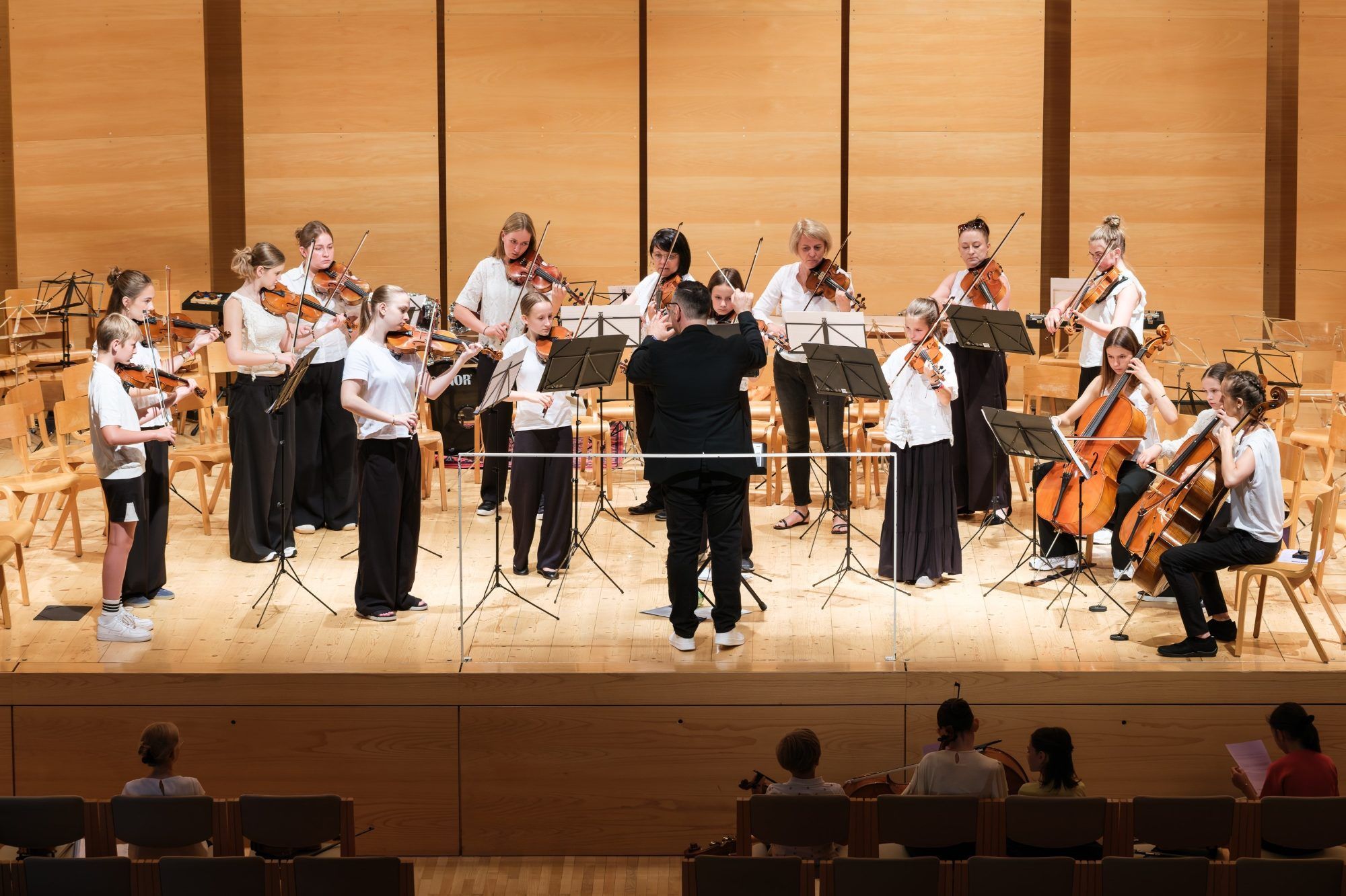 Fiddles on Fire Orchesterkonzert