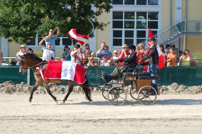 heimatfeldkirchsportreitenalexanderboesch