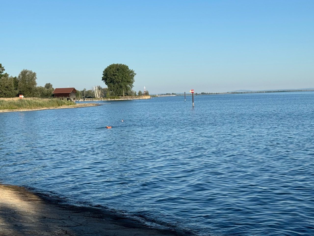 Early Birds am Bodensee: "Wenn der See noch schläft, beginnt unser Tag im Wasser"