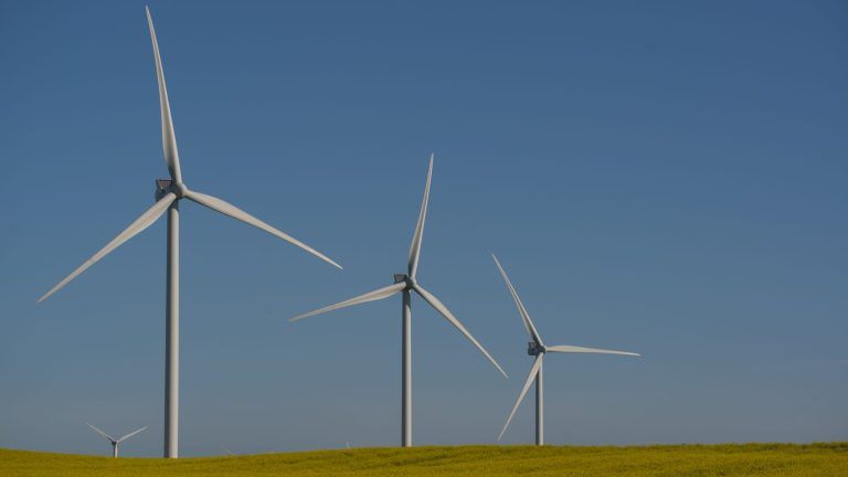 Dämpfer für die Windkraft: Alpe Rauz ist Geschichte, jetzt rückt Egg ins Visier