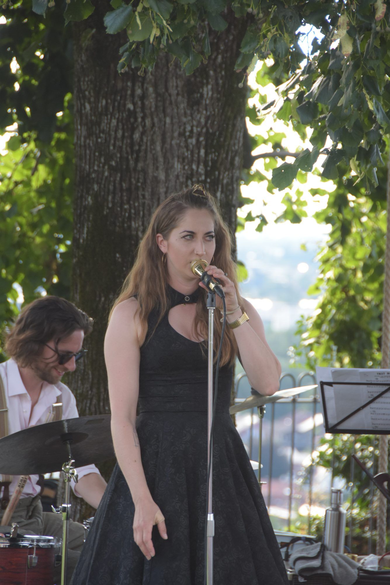 Sängerin und gefragte Musikerin, Komponistin, Arrangeurin: Ursula Reicher