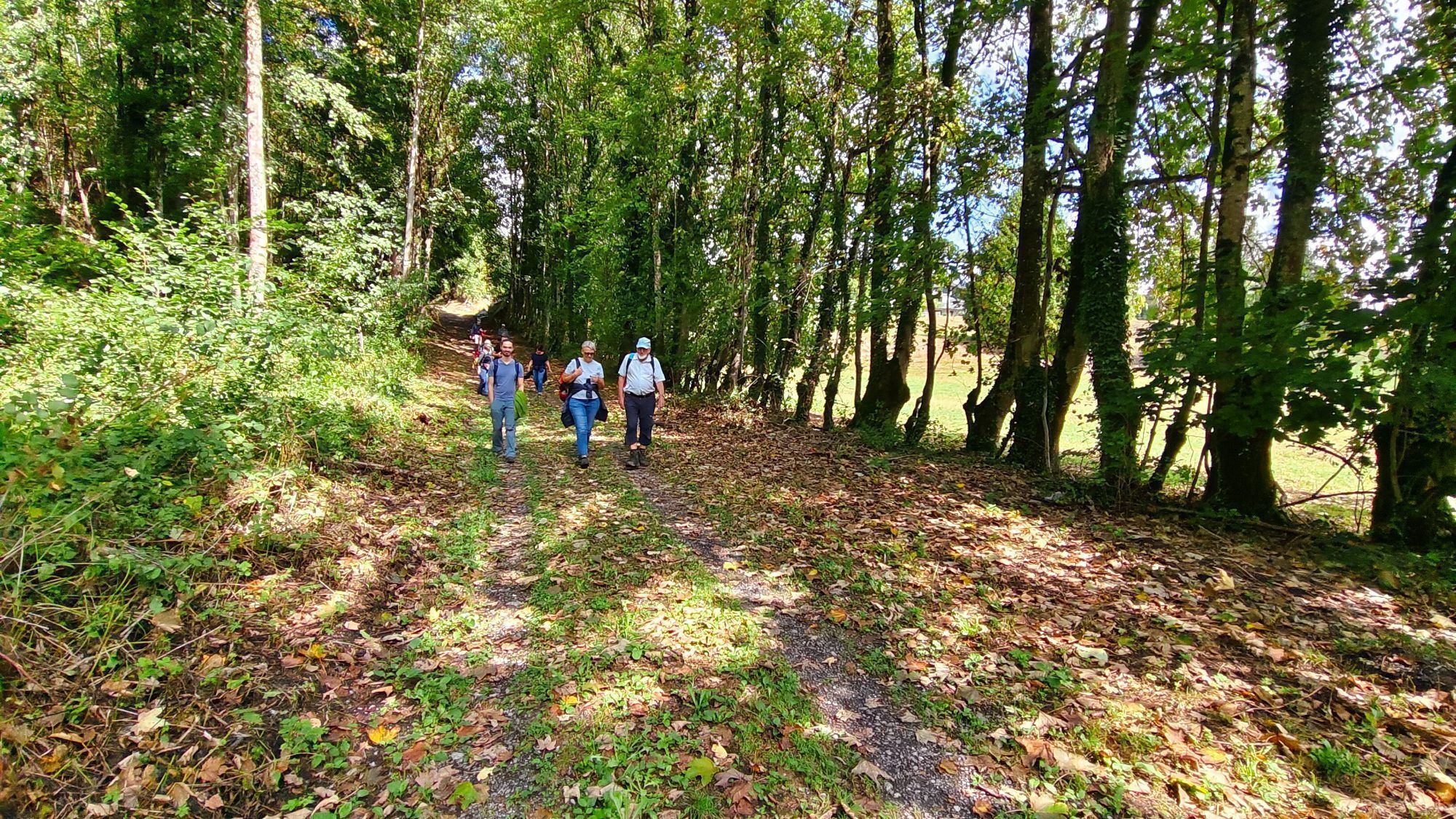 Waldspaziergang nach der Trockenperiode: Die Teilnehmer erkannten Kipppunkte des Ökosystems.