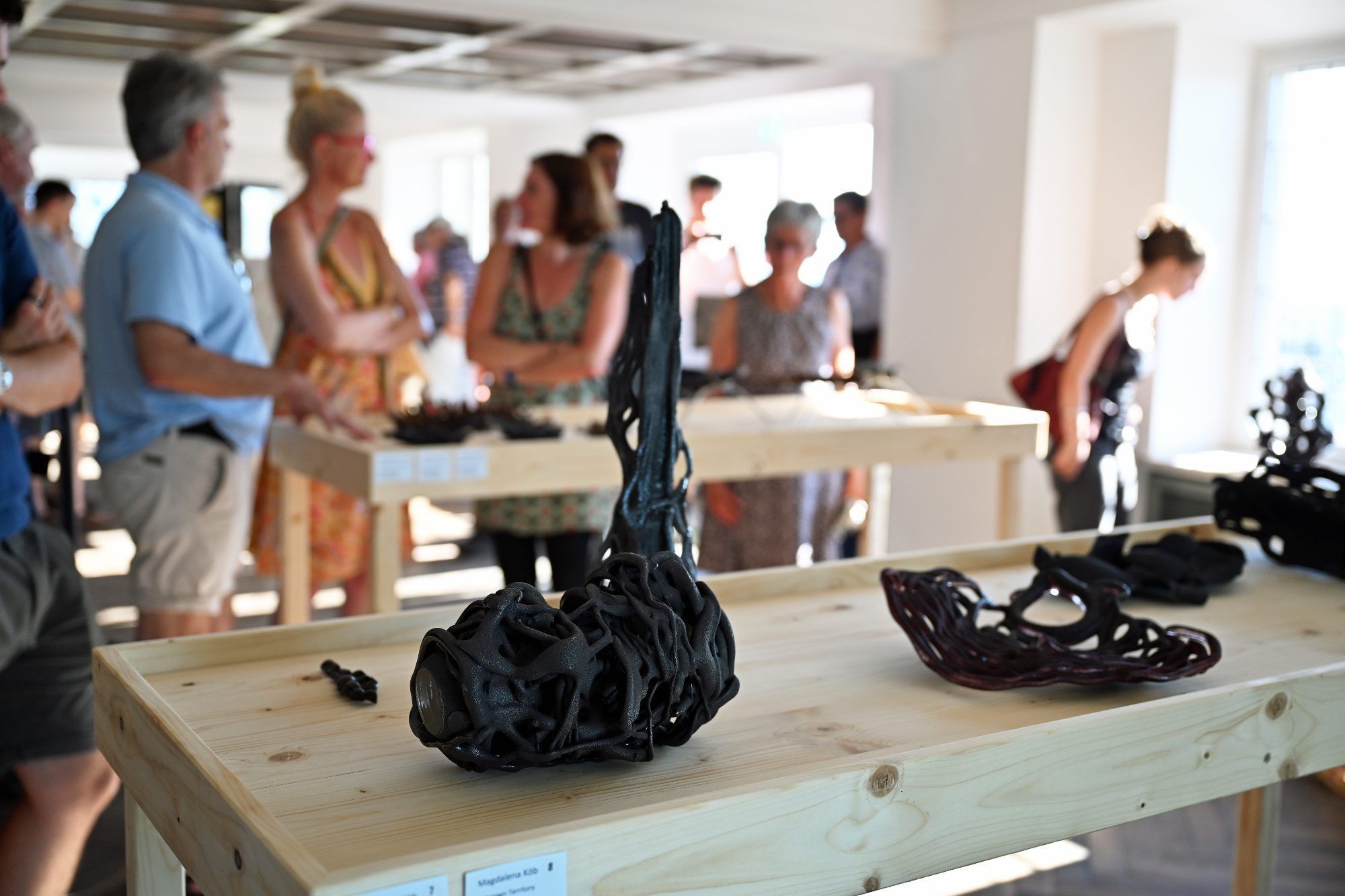 Die Ausstellung in Schloss Wolfurt war an vier Tagen geöffnet.