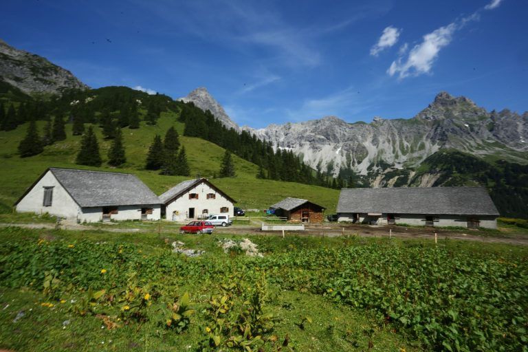 Schon wieder Wolfsalarm im Montafon