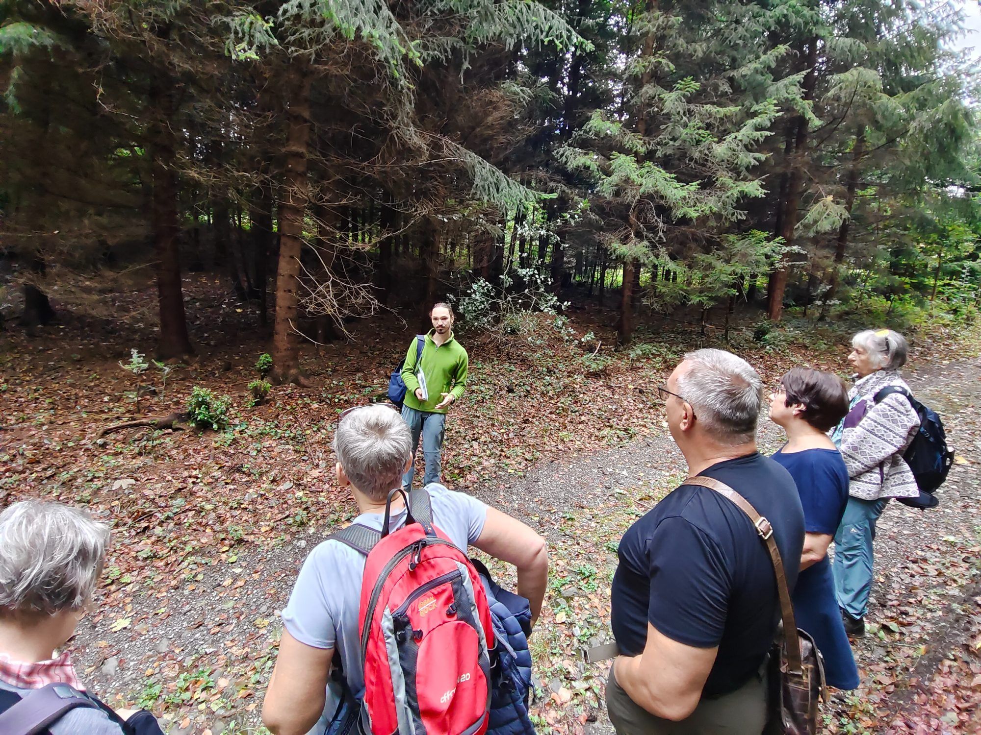 Teilnehmer erhielten auch Einblick in einen Fichtenwald.
