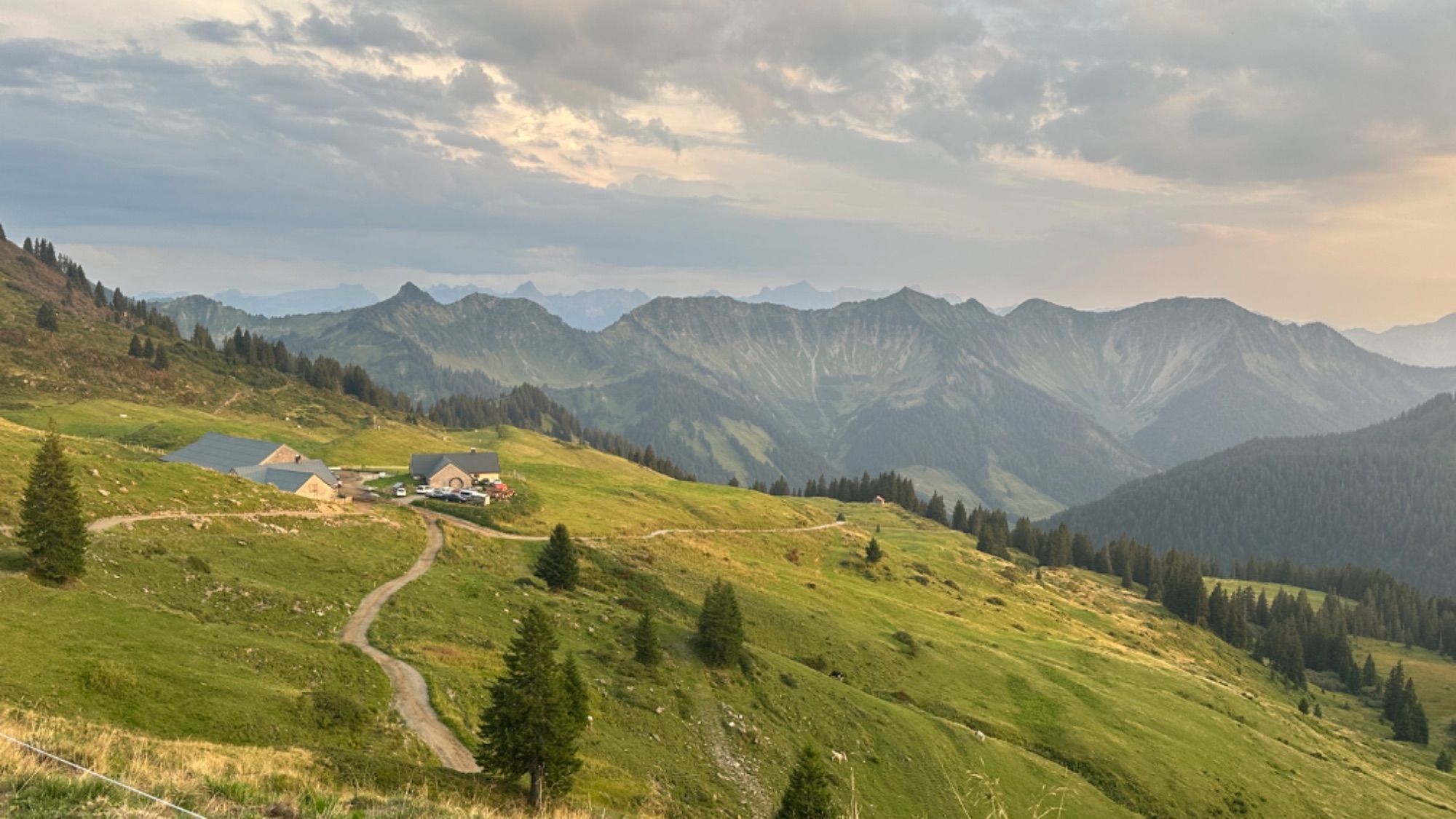 Wegen der Trockenheit war das Futter knapp auf der Alpe Gävis.