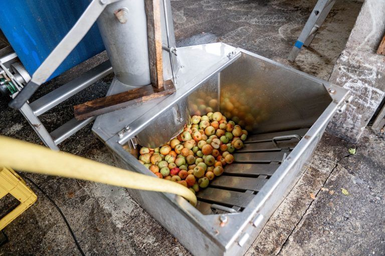 Frühstart in die Mostsaison: "Im August habe ich noch nie gemostet"
