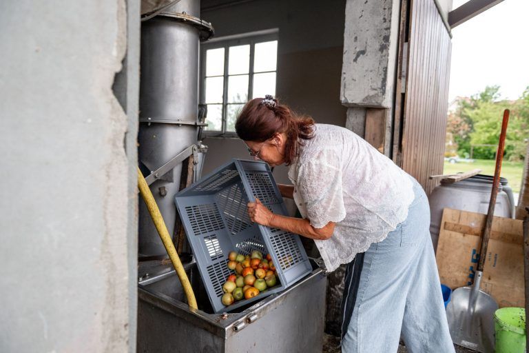 Frühstart in die Mostsaison: "Im August habe ich noch nie gemostet"