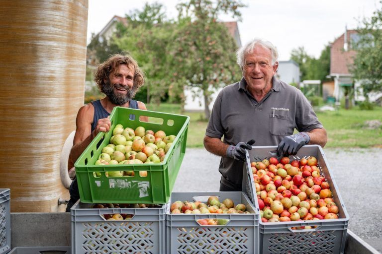 Frühstart in die Mostsaison: "Im August habe ich noch nie gemostet"