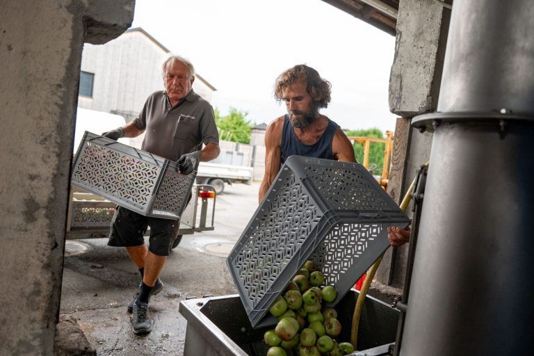 Frühstart in die Mostsaison: "Im August habe ich noch nie gemostet"