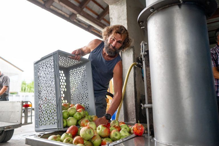 Frühstart in die Mostsaison: "Im August habe ich noch nie gemostet"