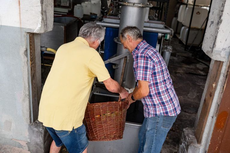 Frühstart in die Mostsaison: "Im August habe ich noch nie gemostet"