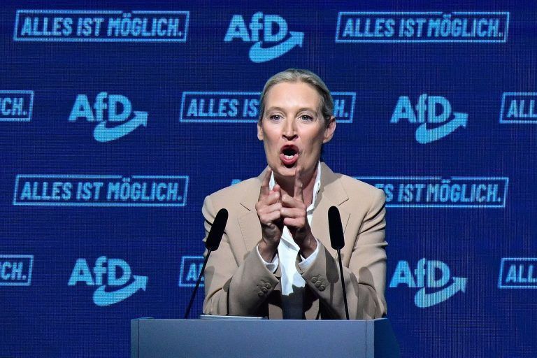 AfD kämpft weiter um Millionenspende aus Vorarlberg