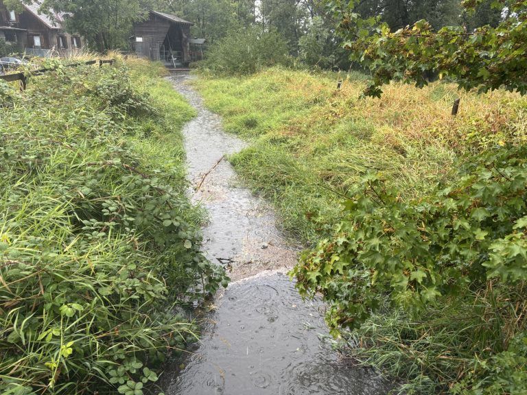 Niederschläge am Montag: "Ich habe im Vorfeld gewarnt, dass Überschwemmungen drohen"
