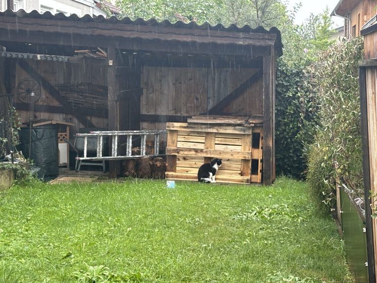 Niederschläge am Montag: "Ich habe im Vorfeld gewarnt, dass Überschwemmungen drohen"