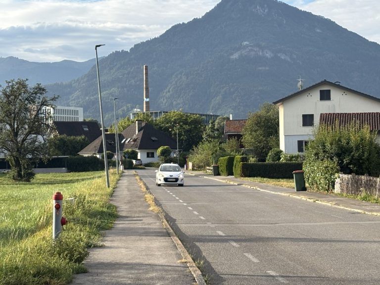 Die Trockenheit zerstört Straßen und Wäldchen