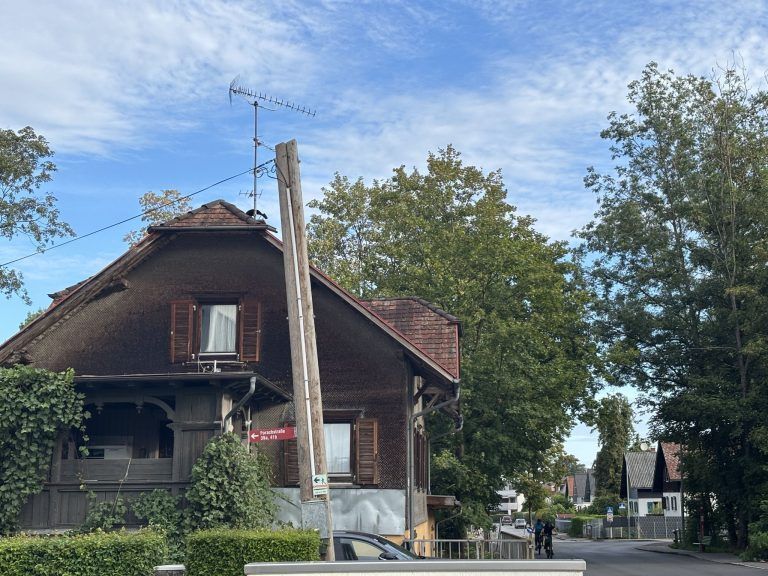 Die Trockenheit zerstört Straßen und Wäldchen
