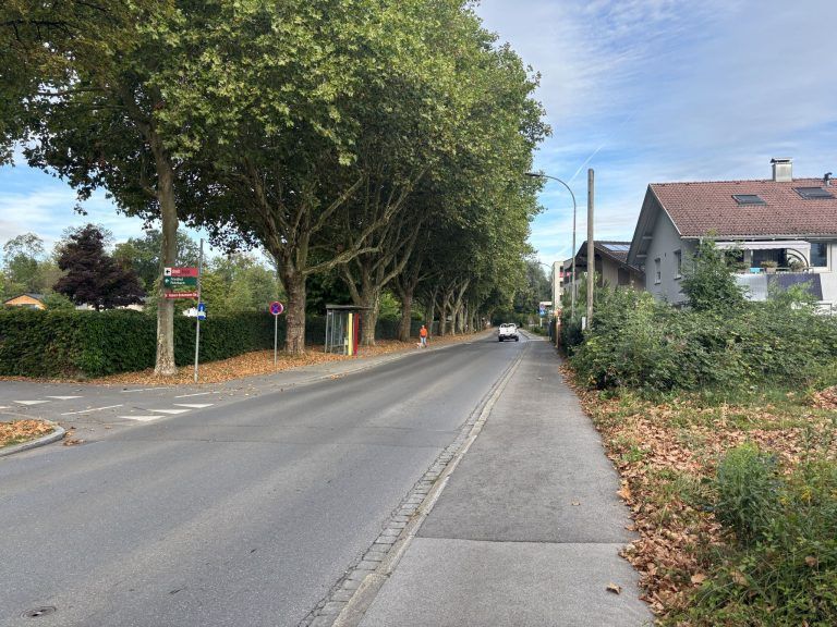 Die Trockenheit zerstört Straßen und Wäldchen