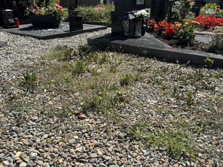 Hinterbliebene fordern gepflegten Friedhof in Lochau: "Das ist eine Schande für die Toten"