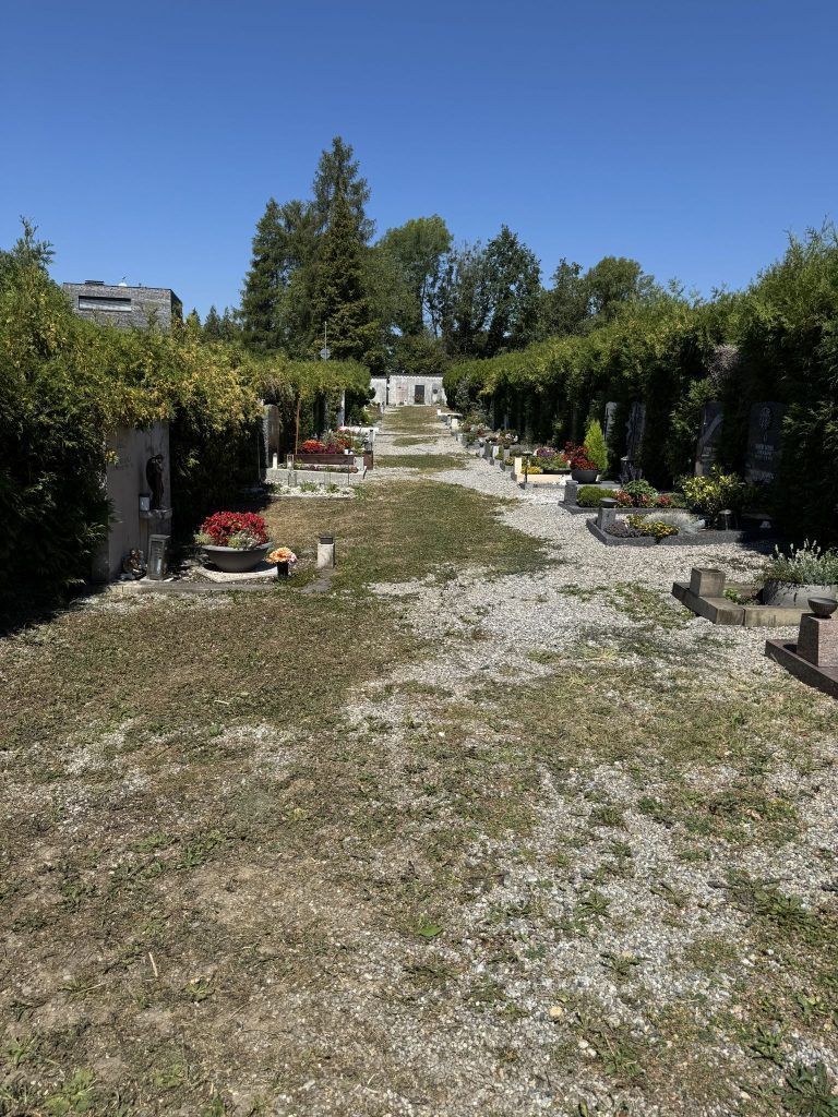 Hinterbliebene fordern gepflegten Friedhof in Lochau: "Das ist eine Schande für die Toten"