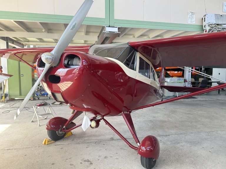 "Mein Herz hat geblutet" – Die Geschichte hinter Altenrheins großer Airshow