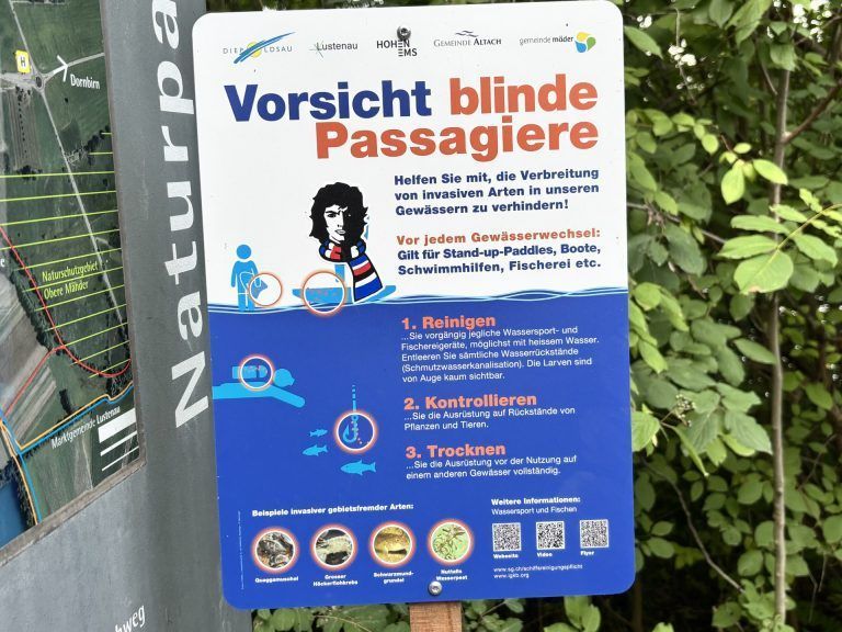 Dieses Wesen macht den Fischen den Garaus