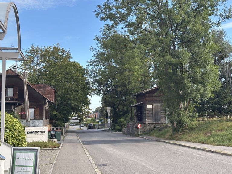 Die Trockenheit zerstört Straßen und Wäldchen