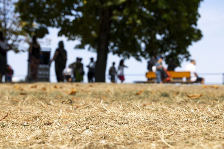 Warum ein zahnloses Klimagesetz niemandem hilft: "Schadet Standort Österreich"