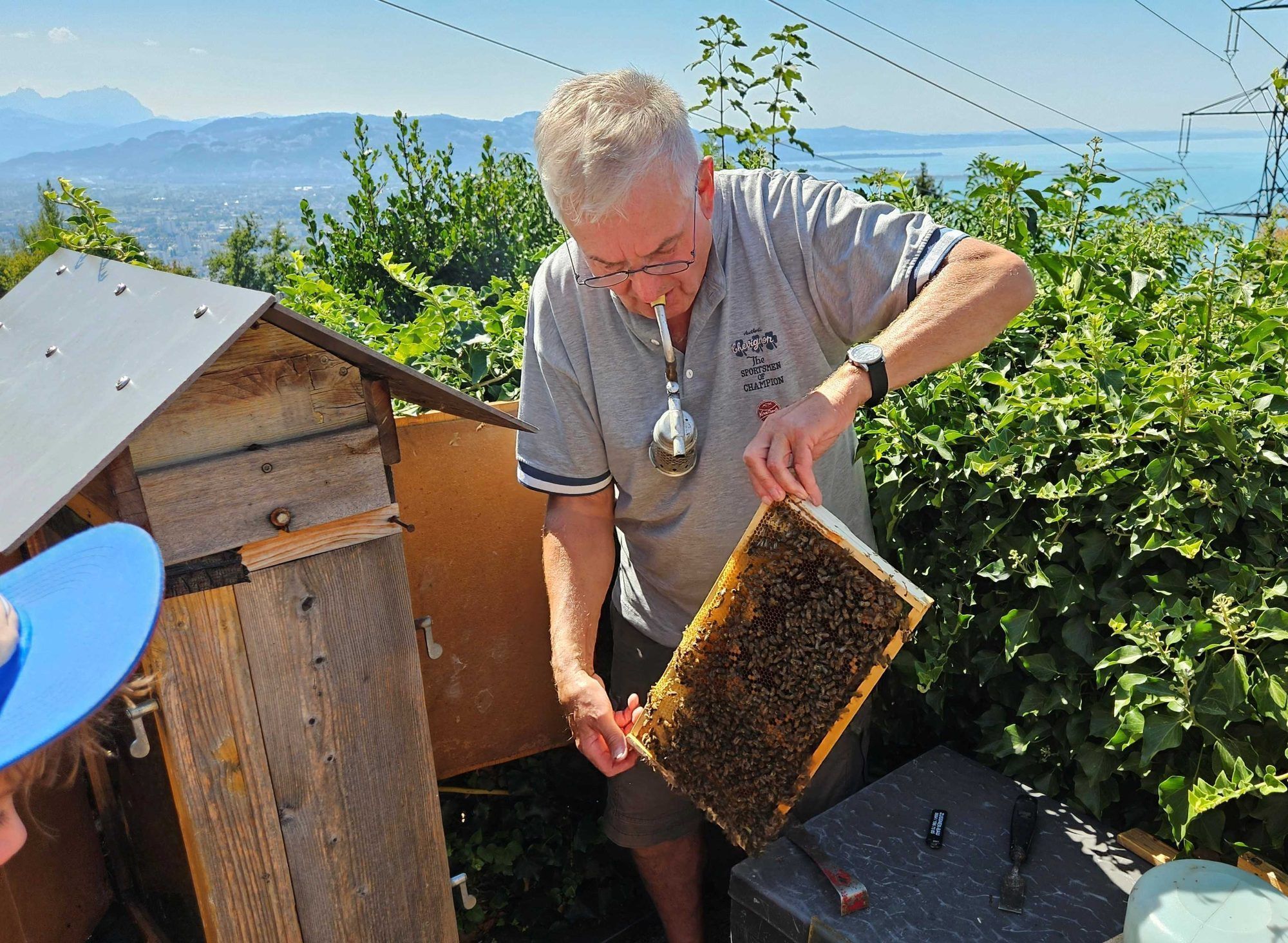 Leiblachtaler Ferienprogramm - Die Welt der Bienen anschaulich erklärt