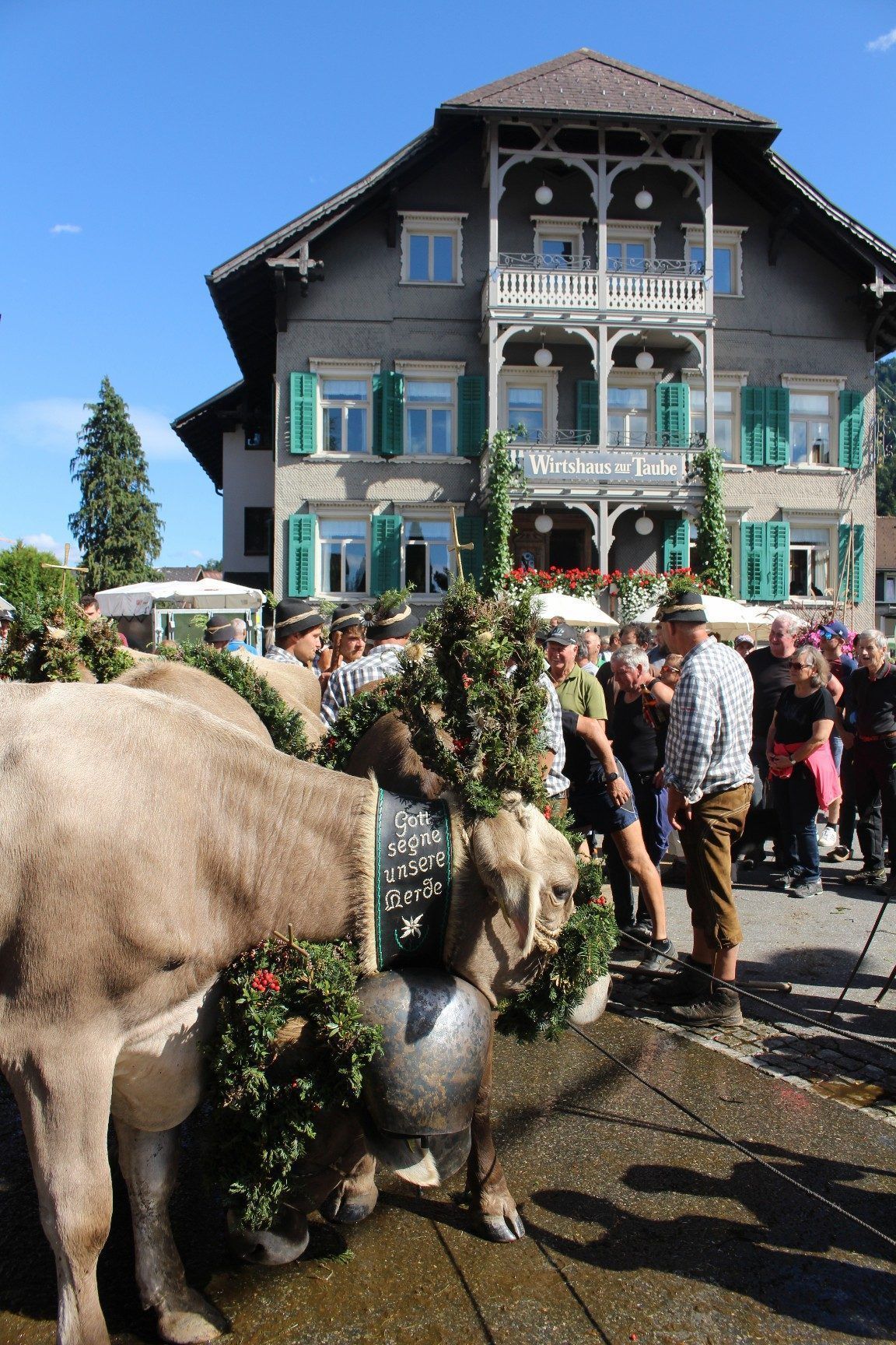 Viele Jahre war Alberschwendes Alptag am oder um den Heiligkreuztag ein Highlight der Wälder Alpabtriebe. Ob es heuer angesichts der Dürreprobleme auf den Alpen dazu kommt, ist fraglich.
