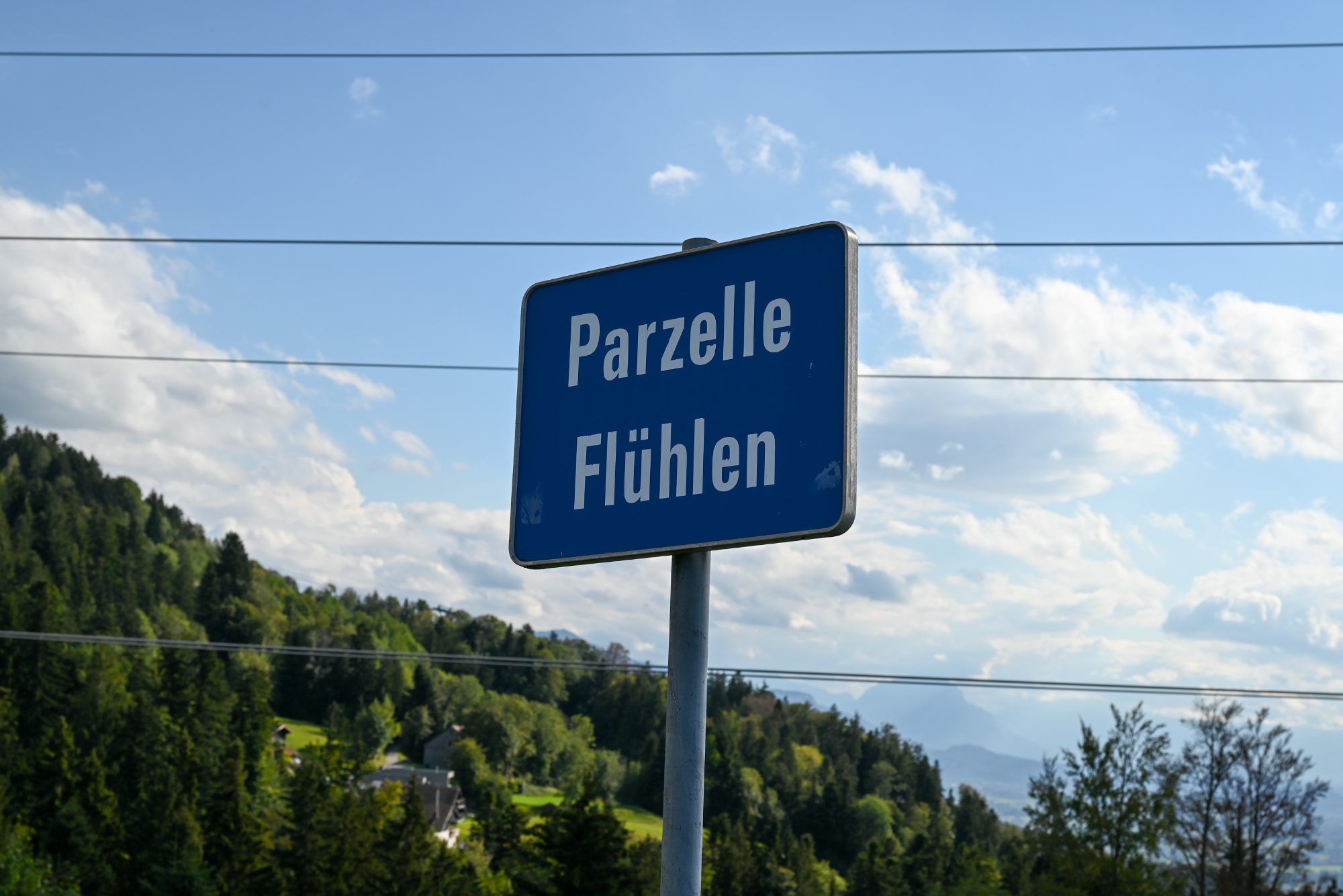 In der Parzelle Flühlen gibt es einen Wald des Friedens.
