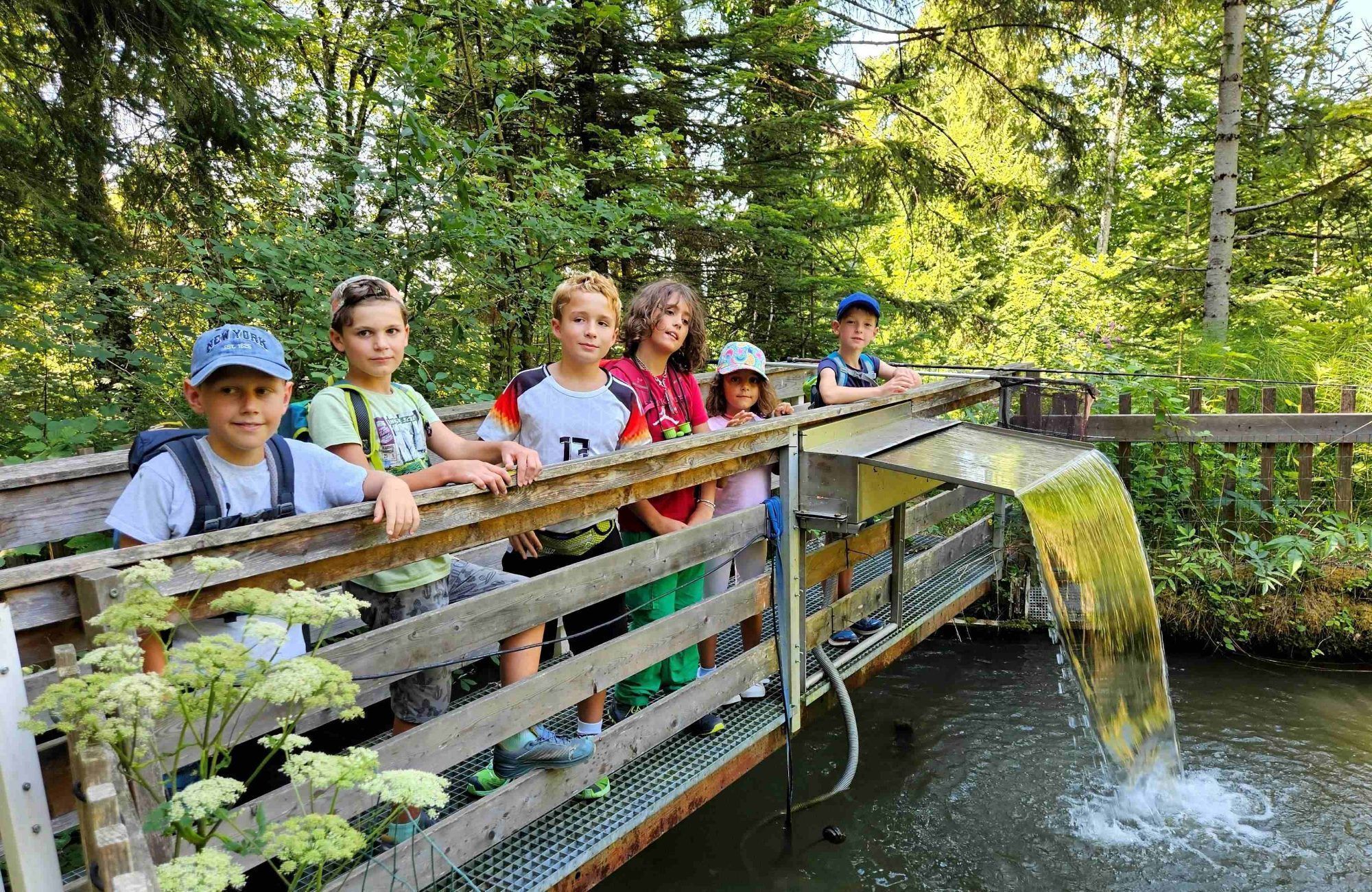 Natürlich gehörte auch eine Fütterung beim Forellenteich mit dazu.