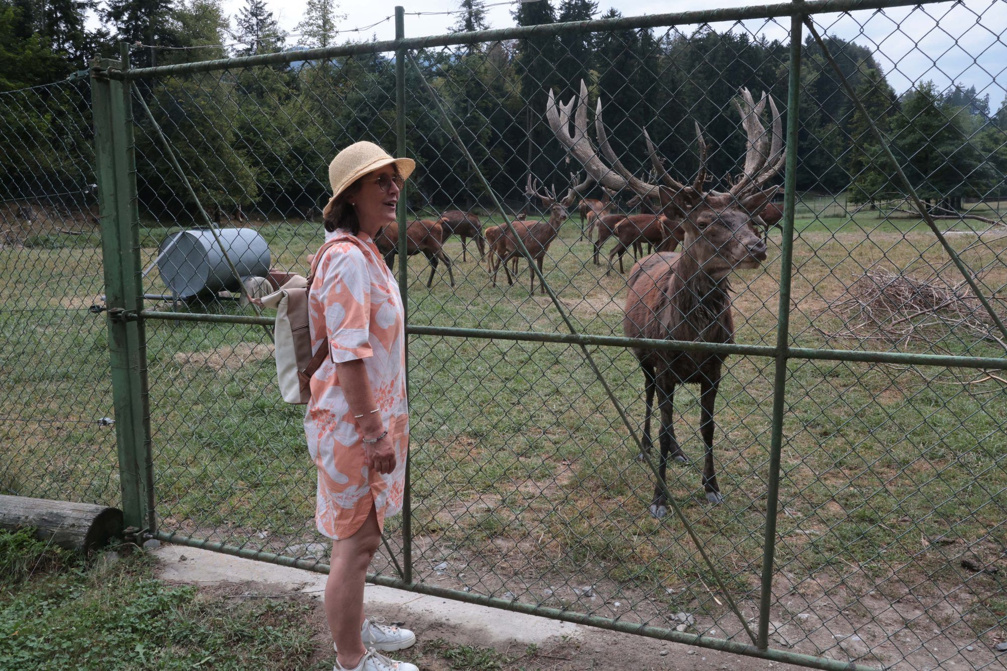 Eva Hirschauer mit einem Hirsch des Wildgeheges von Klammsteiner.
