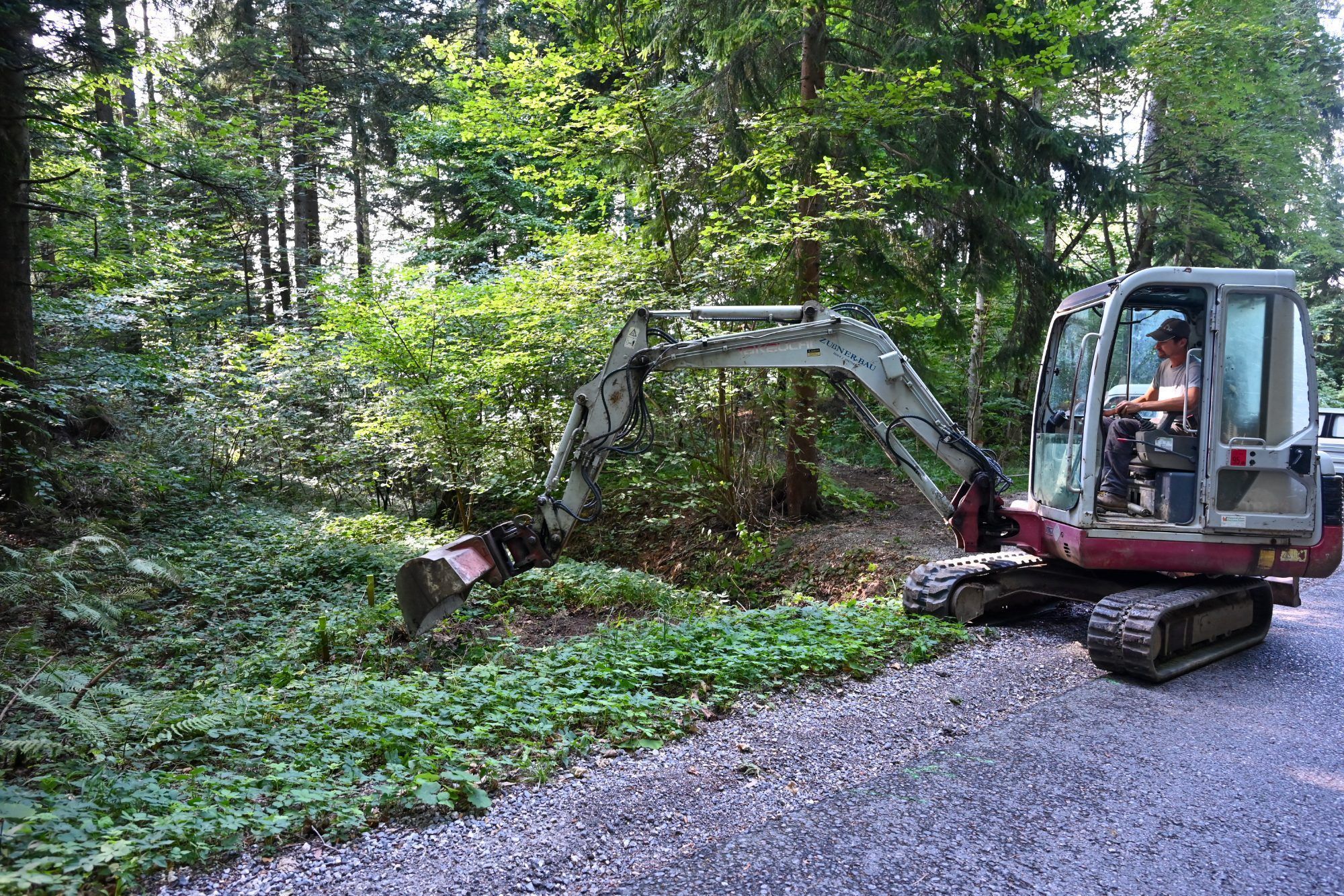 Der Bagger bahnt sich einen Weg vom Straßenrand in den Wald. 
