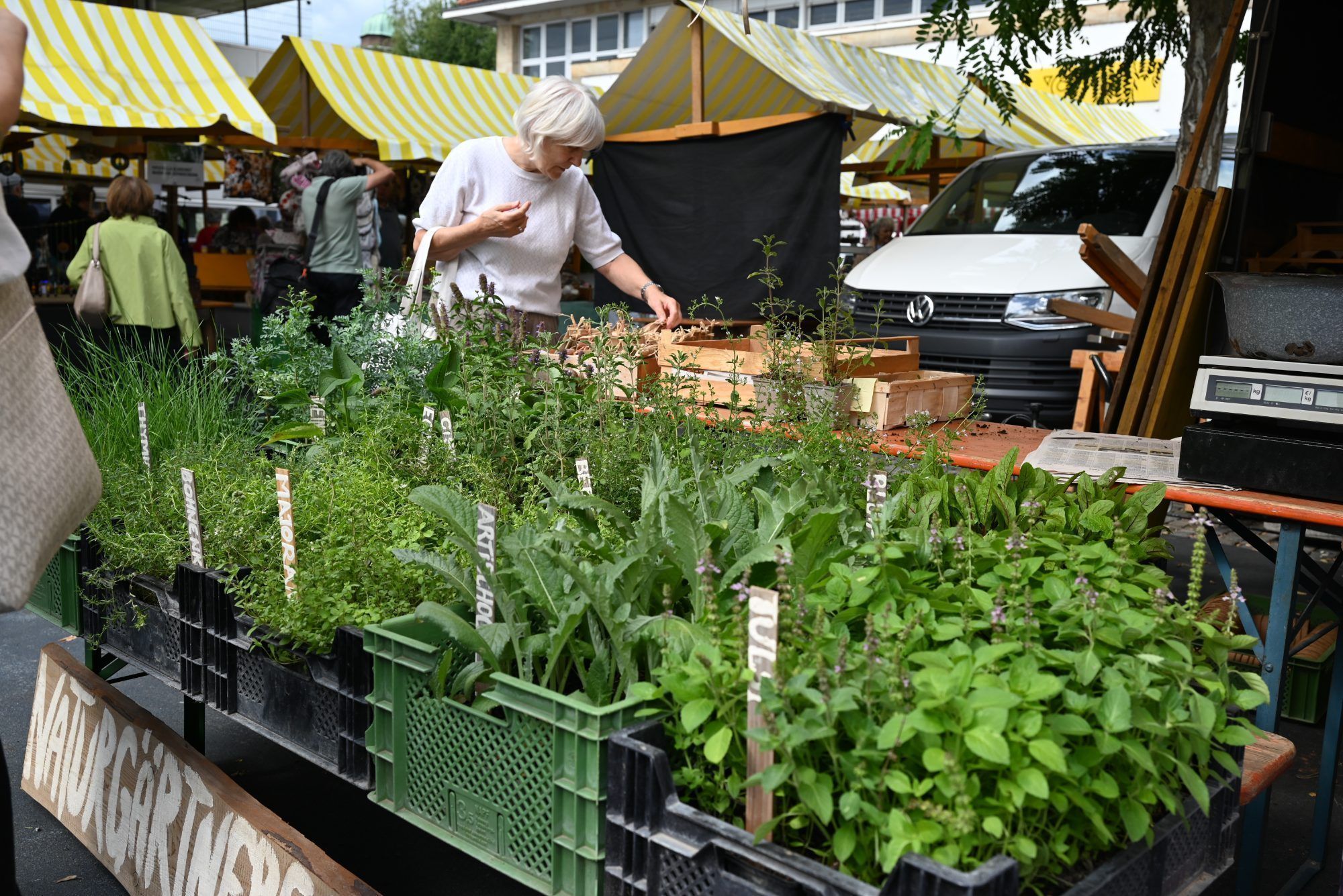 Kräutermarkt in Lustenau