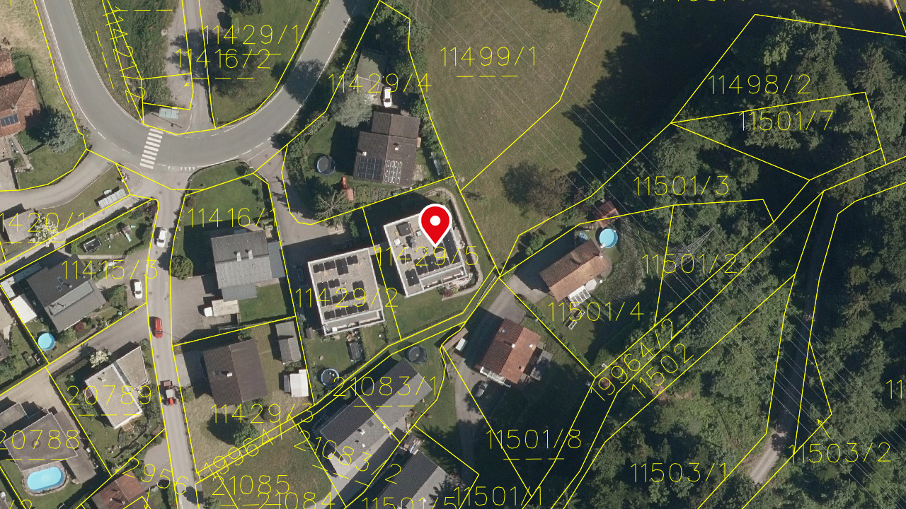 Land Vorarlberg: data.vorarlberg.gv.at, BEV (DKM)