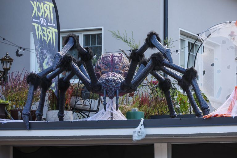 Schon einen Monat früher im Halloweenfieber: Diese Hohenemser Gärten sorgen für Aufsehen