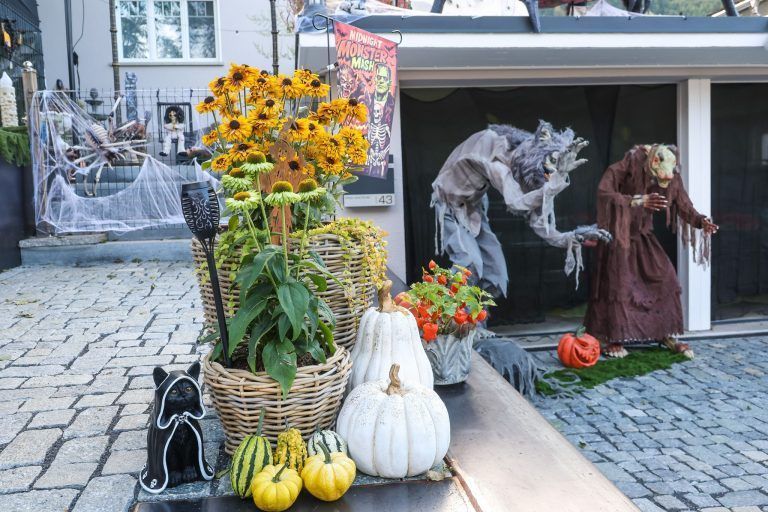 Schon einen Monat früher im Halloweenfieber: Diese Hohenemser Gärten sorgen für Aufsehen