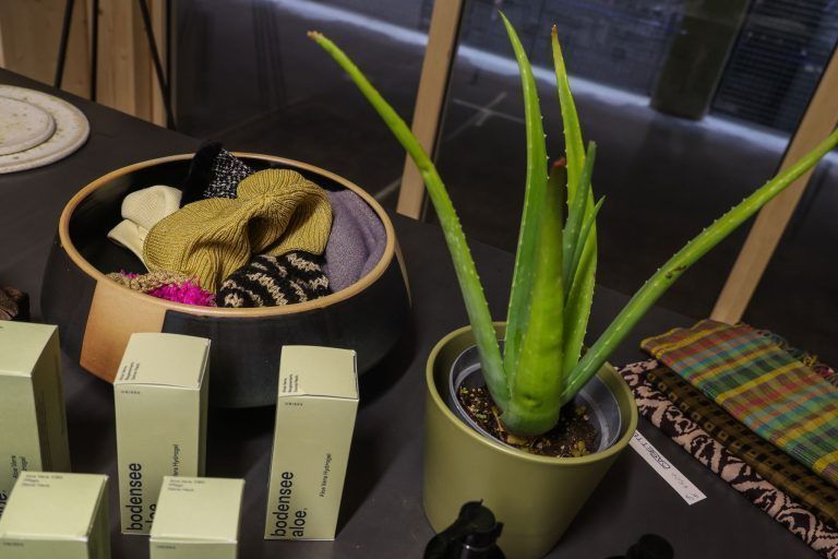 Die "Casette" in Dornbirn macht Vintage zum besonderen Familienprojekt